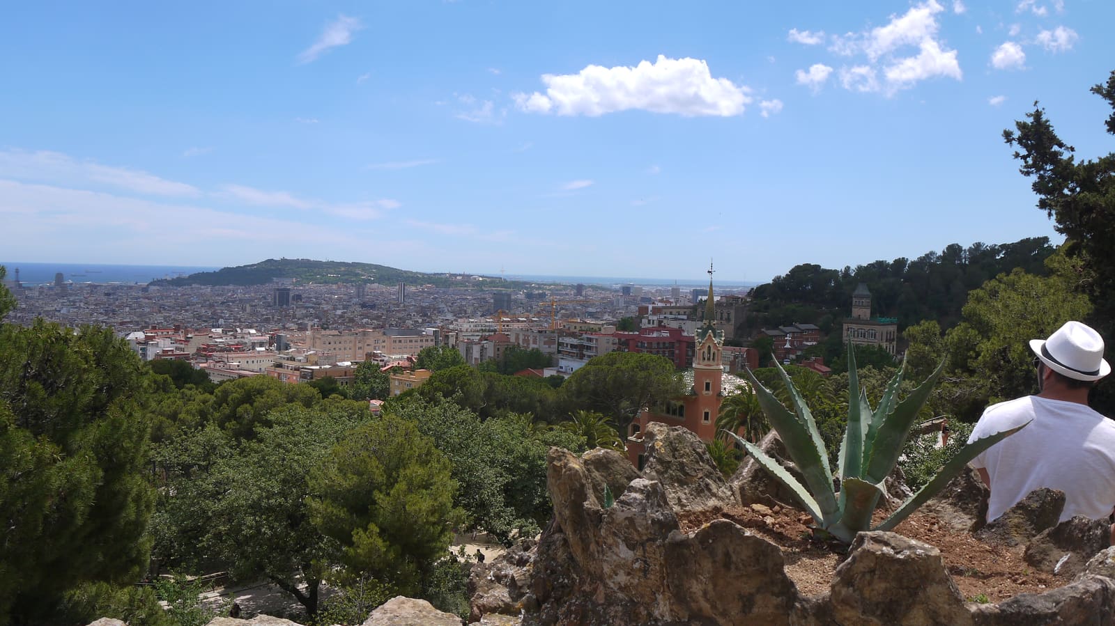 Sagrada Família rising over Barcelona